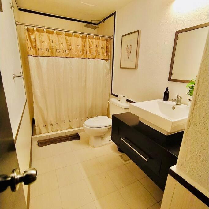 Apartmán Departamento Con Ubicacion Unica Playa del Carmen Exteriér fotografie